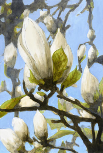 Peer_MagnoliaStudy_5x7