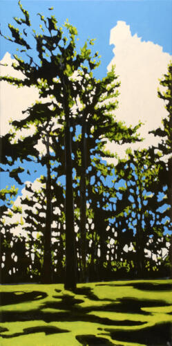 Windswept Pines, Pioneer Park, Peterborough 1