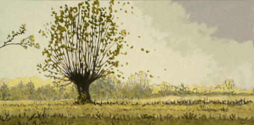Peer_WindyNovemberDayDenmark_12x24