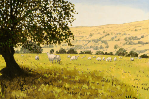 Peer_YorkshireLandscapeWithSheep_24x36